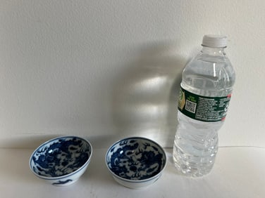 Pair Of Chinese Blue And White Dragons China Plate 19th Mark
