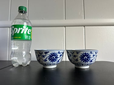 Pair Of Chinese Blue And White Lotus Porcelain  Bowl Mark