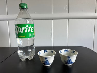 Pair Of Chinese Blue And White Porcelain Cup China Tea Bowl