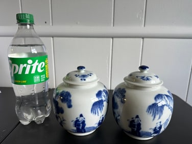 Pair Of Chinese Blue And White Porcelain Vases China Ginger Jars Mark