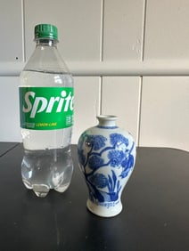 Chinese Blue And White Porcelain China Vase