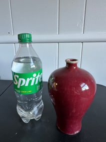 Chinese Red Glazed Oxblood China Porcelain Vase