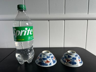 Pair Of Chinese Blue And White Red Bats China Bowls