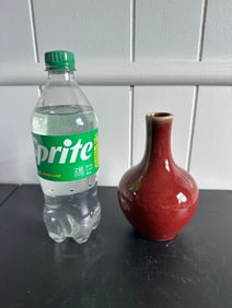 Chinese Red Glazed Oxblood Porcelain Vase