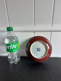 Chinese Red Glazed Porcelain Plate Blue And White China Mark