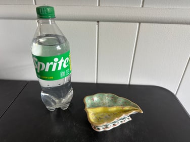 Chinese Famille Rose Porcelain Plate