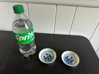 Pair Of Chinese Blue And White Porcelain Plate China Mark