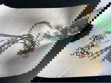 Chinese Watercolor China Painting