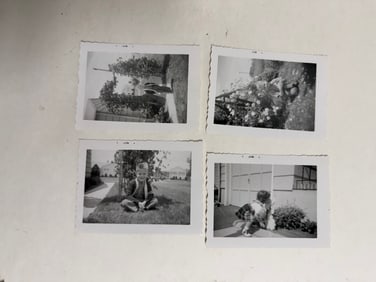 Set Of 4 Age Photos 11V