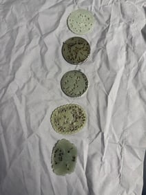 Set Of 5 Chinese White Jade Plaques pendant