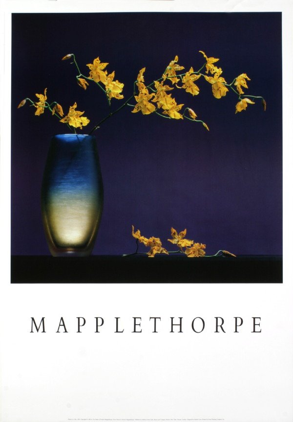 Mapplethorpe Flowers in a Vase Offset Lithograp: Reference #: ULXX9801 Artist Last Name: Mapplethorpe Artist First Name: Robert Title: Flowers in a Vase Medium: Offset Lithograph Paper Height: 39 inches Paper Size Width: 27 inches Image Height: 25 i