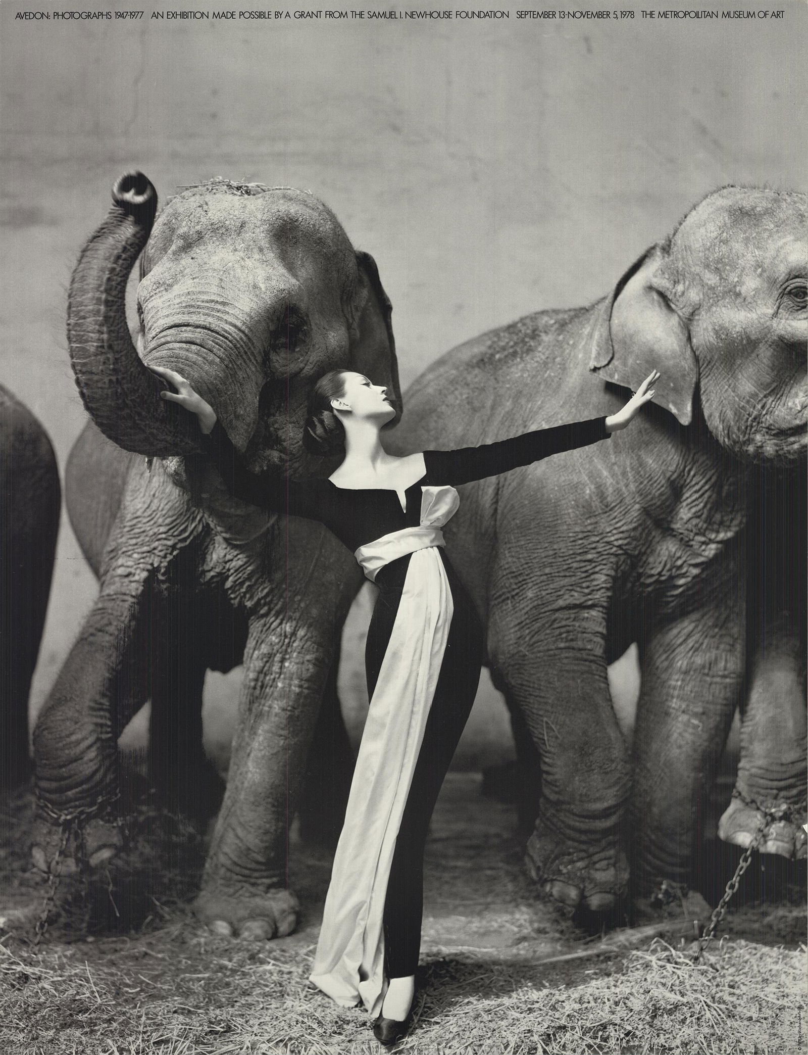 Richard Avedon - Dovima with Elephants - 1978 Offset (1 of 1)