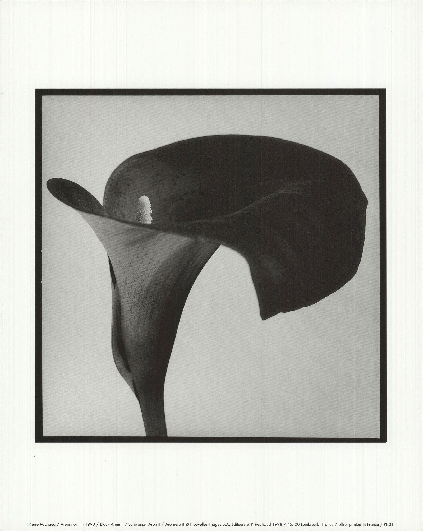 Pierre Michaud - Arum Noir II - 1998 Offset Lithograph (1 of 1)