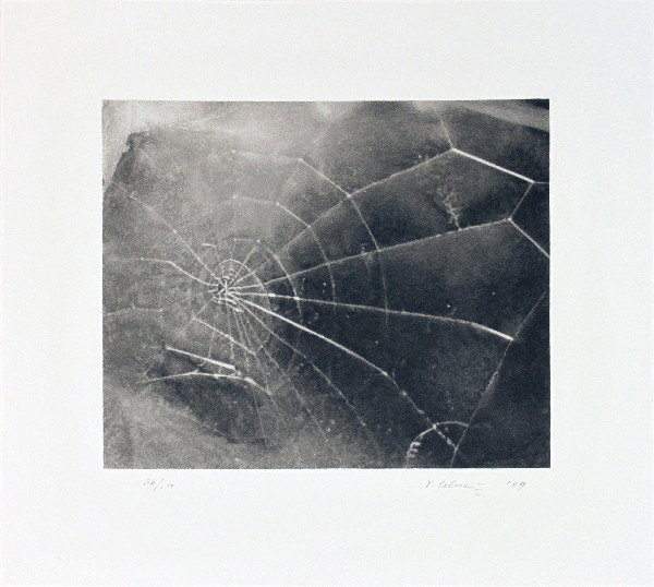 Signed 2009 Celmins Spider Web Serigraph: Reference #: ULLC1196-B Artist Name: Celmins, Vija Title: Spider Web Medium: Serigraph Edition Size: 117 Year: 2009 Paper Size: 17.5 x 19 inches Image Size: 11 x 13 inches Condition: A: Mint Notes: A 