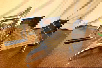 Professional Meat Slicer