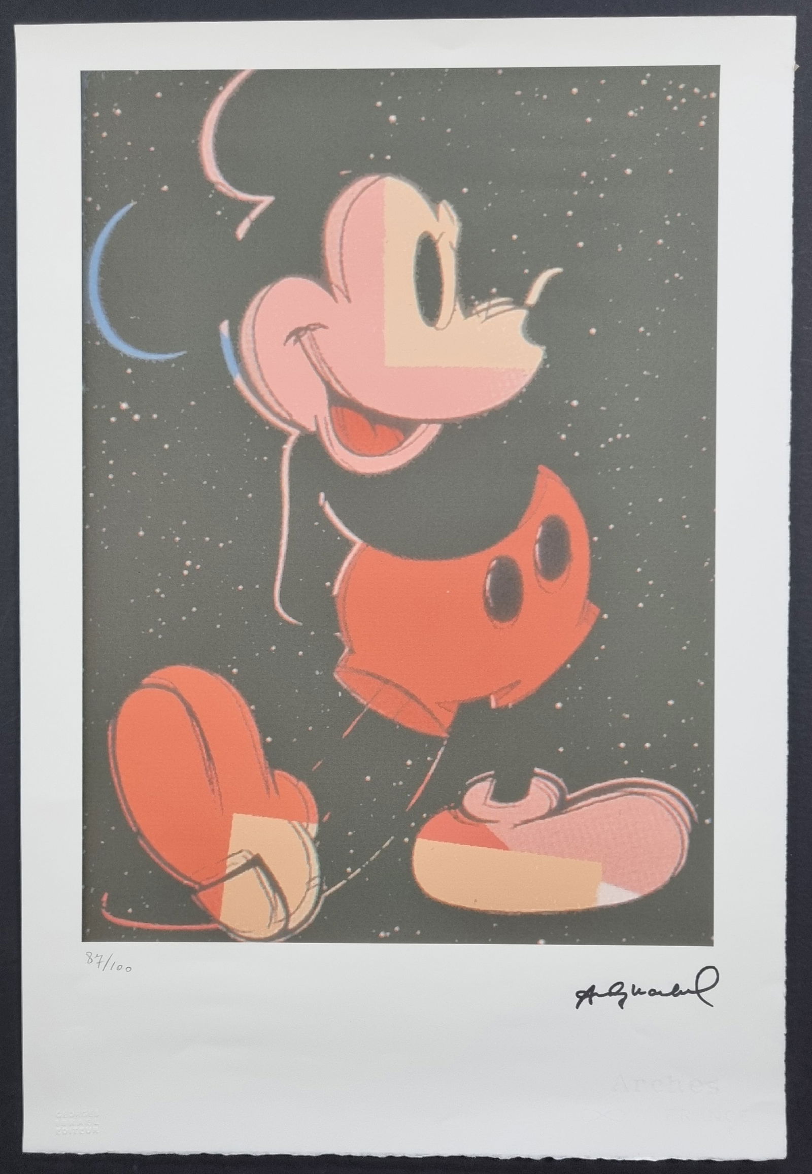 Andy Warhol Limited Edition Lithograph (1 of 6)