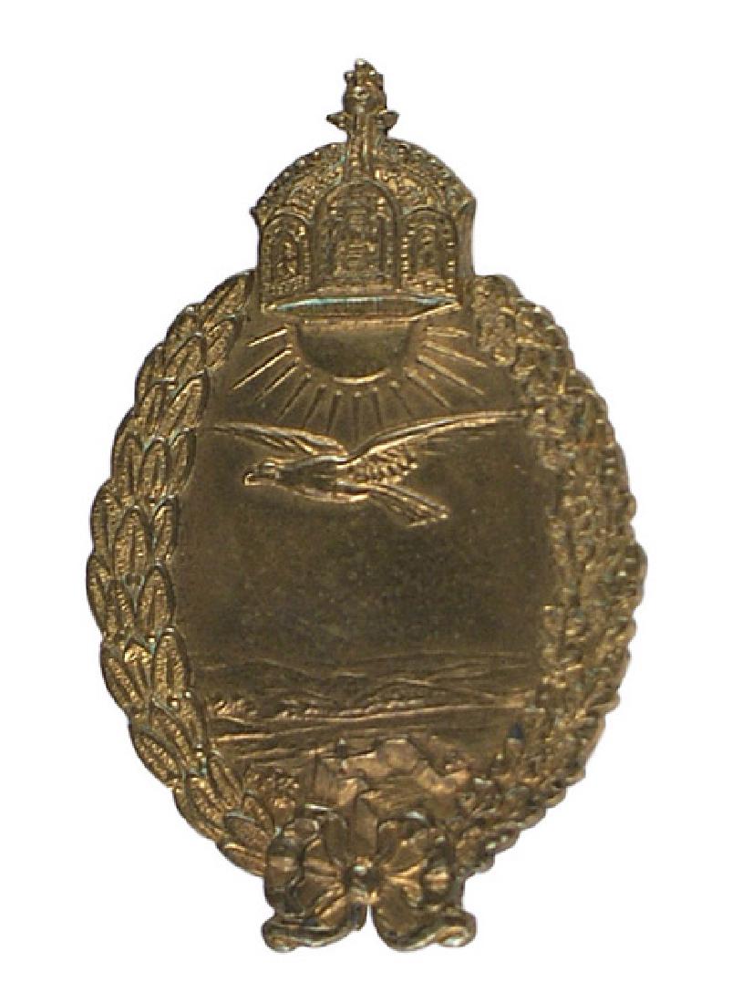 Prussian Navy Land Pilot Badge Medal: B-036 Prussian Navy Land Pilot Badge. Prinzen size, gilded brass, solid type. Aged patina. II