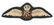 British WWI Pilots Wings RFC