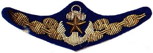 Japan WWII Army Navy Assault Badge: B-94 - WWII officer's joint Army/Navy Landing Assault Forces Badge. Relief silver bullion embroidered anchor with a silver bullion chain and strands on top bar of anchor - with an affixed gilt metal s
