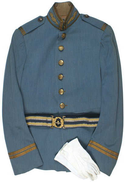 British RAF Air Marshall dress tunic: F-101 R.A.F. Air Marshall dress tunic. Quality light blue fabric with a long gold bullion embroidered cluster of oak laves on collar and outlined in gold wire piping and "tape" (some wear on back of c