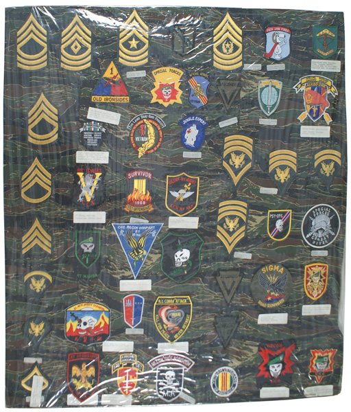 Lot of 46 reproduction U.S. Vietnam insignia: H-226 Lot of 46 reproduction U.S. Vietnam era embroidered insignia. Includes: USARV Special Missions Advisor, "SPECIAL FORCES COMBAT DIVER", "F…JANE FONDA", "576th AIRBORNE DEMOLITION", Recon Forces
