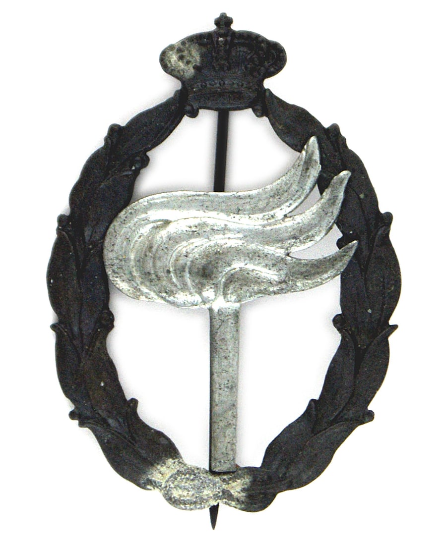 ITALY WWII Air Force Badge Strategic Recon: B-145 Italy WWII Air Force (Regia Aeronautica) Badge for Strategic Reconnaissance in Bronze (for 30 missions). See "WINGS OF WWII" by Russell J. Huff.) II