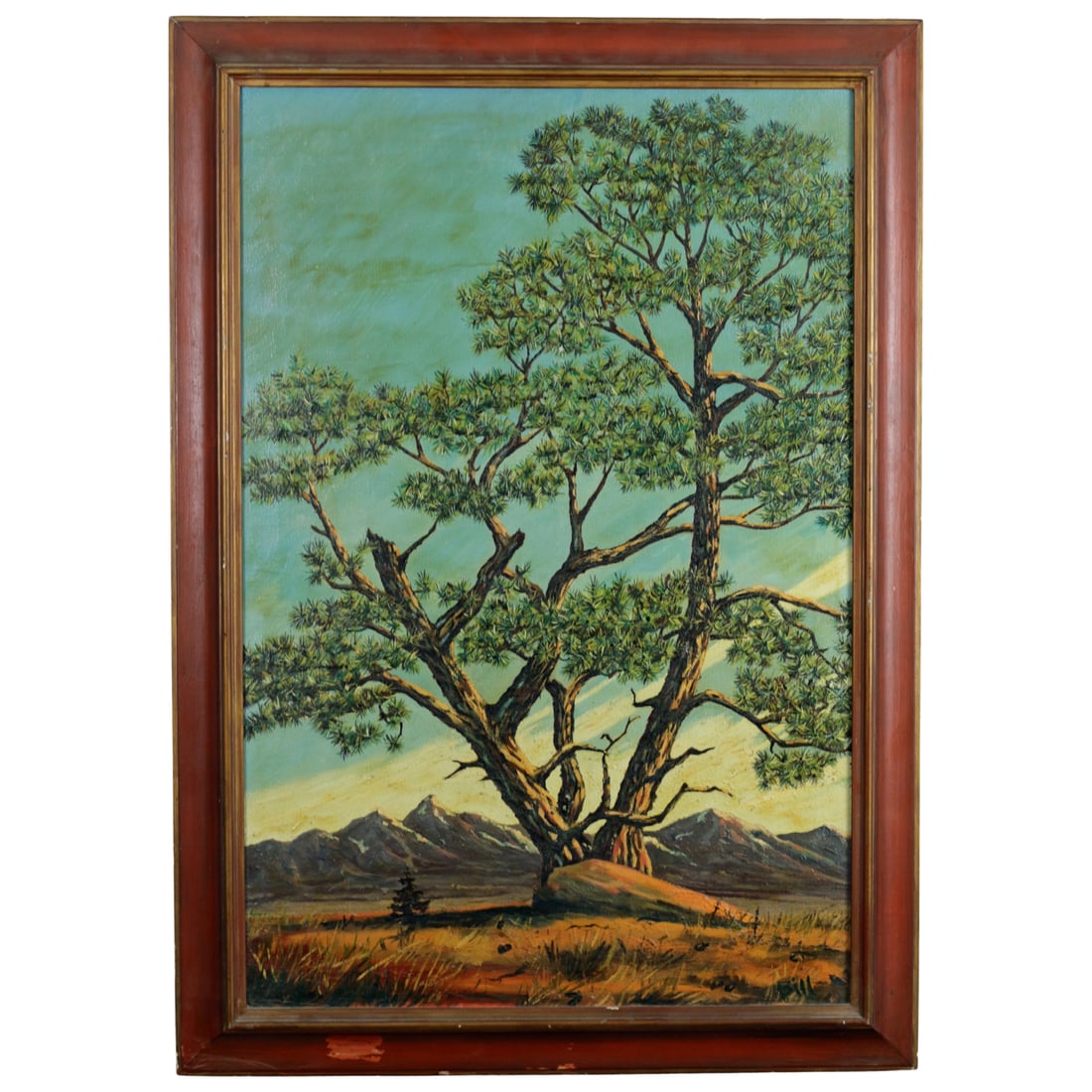 Pine Tree in the Gros Ventre Range, Wyoming, Signed Bill (Adams), c. 1960-1973 (1 of 5)
