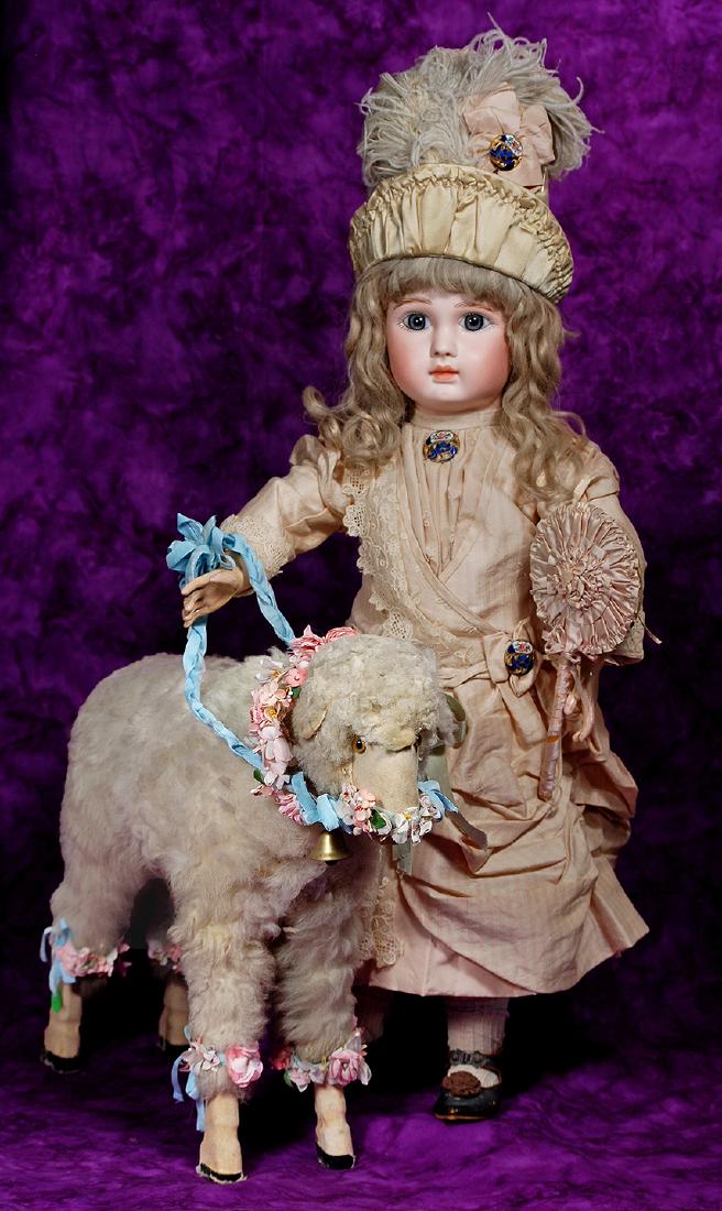 79. ANTIQUE FRENCH WOOLY LAMB TOY. 14” H. Paper: 79. ANTIQUE FRENCH WOOLY LAMB TOY. 14” H. Paper mache lamb with thick curly lambs wool covering, cloth face with glass eyes, kid skin ears, wooden hooves, bellows hidden in neck sounds “ba