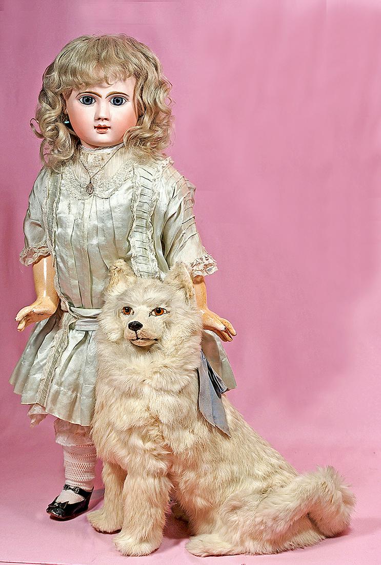 107. FRENCH WHITE FUR SALON DOG WITH GLASS EYES.: 107. FRENCH WHITE FUR SALON DOG WITH GLASS EYES. 13.5”. Papier mache dog has swivel head with white fluffy fur coat and mane, shaved fur face with inset brown glass eyes, painted nose and mouth, poi