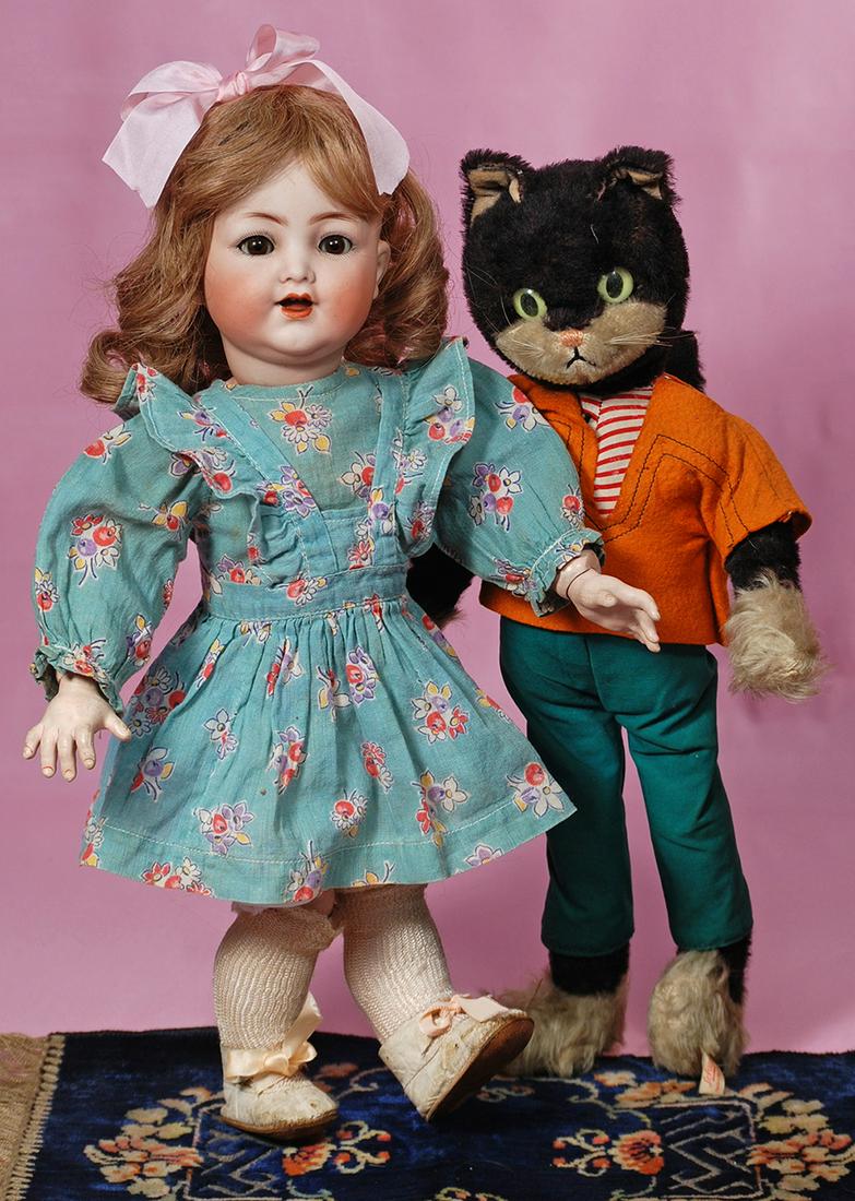 GERMAN BLACK MOHAIR CAT "BIGO-BELLO" BY SHUCO. (1 of 2)