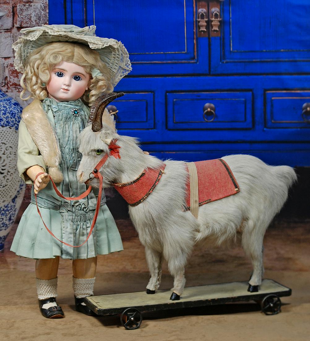 159.  BEAUTIFUL FRENCH BISQUE STEINER BEBE, SERIES C. (1 of 3)