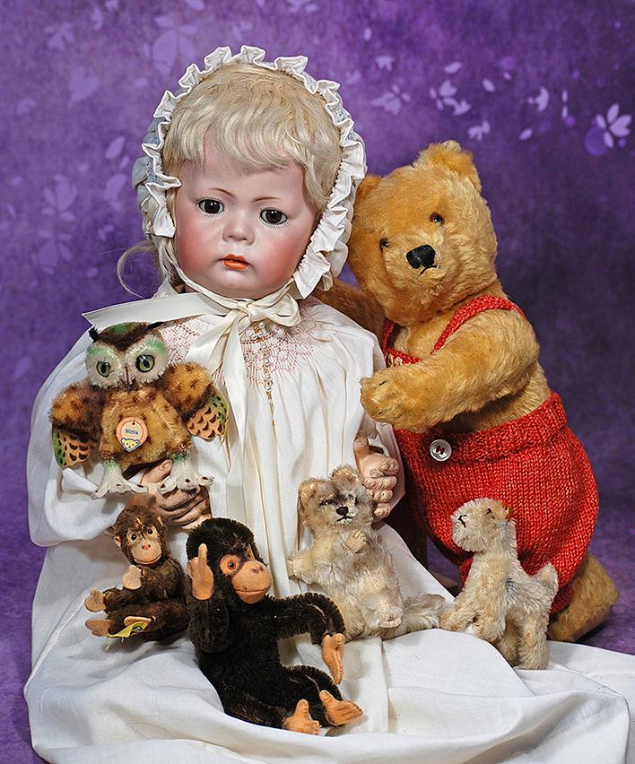 GERMAN MOHAIR TEDDY BEAR & STEIFF ANIMALS.  14” Golden mohair teddy bear has swivel head, (1 of 2)