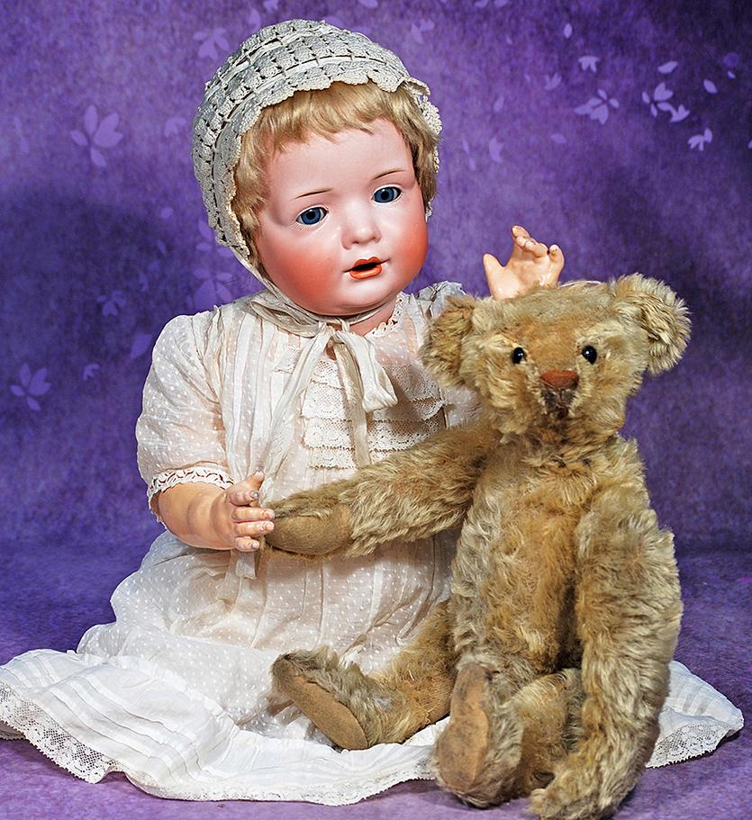 VERY EARLY STEIFF TEDDY BEAR WITH BLANK EAR BUTTON.   Marks: Steiff plain pewter button (1 of 4)