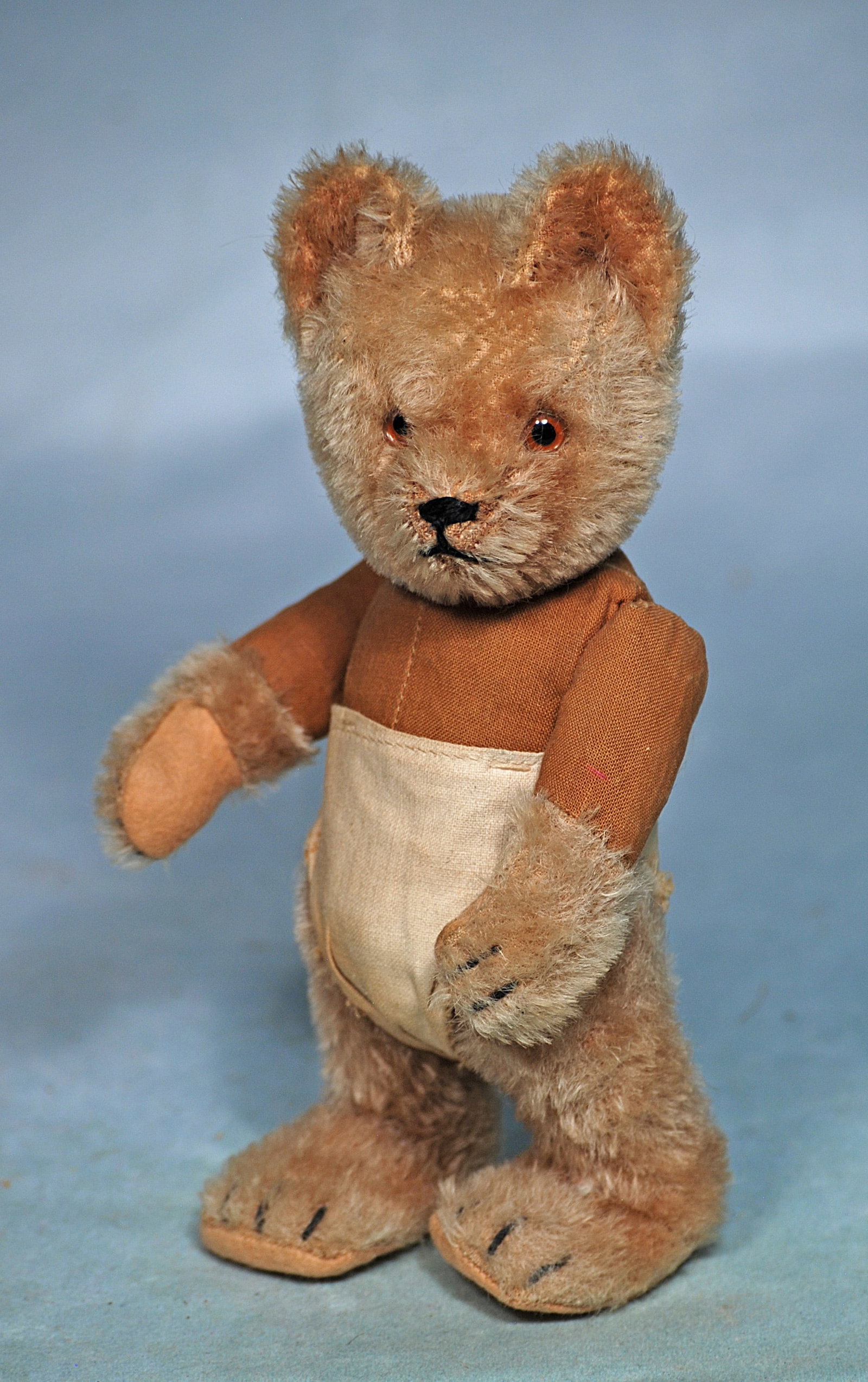 . SHUCO TRICKY YES/NO TEDDY BEAR. (1 of 1)