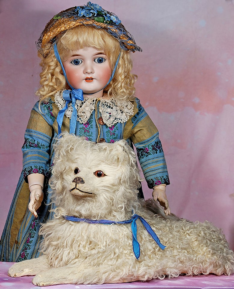 FRENCH CURLY MOHAIR SALON DOG. (1 of 2)