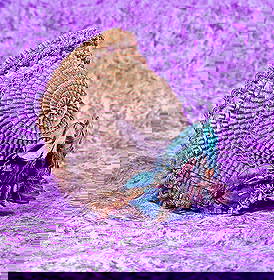 ANTIQUE DOLL BONNET.: ANTIQUE DOLL BONNET. Pleated organza bonnet has wired edge, decorative beading on the brim, cluster of flowers and feathers at the back, sized for approximately 13” head circumference.