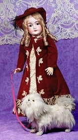 WHITE PEKINESE TOY DOG.