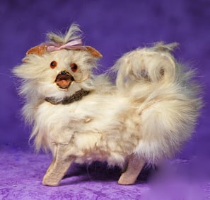 TINY WHITE MOHAIR SALON DOG.