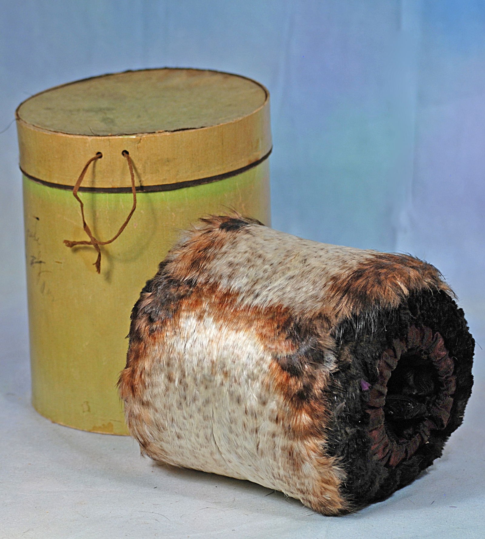 ANTIQUE FUR MUFF: 5 ½”. Fine white and brown shaded fur muff with silk lining in green cardboard cylinder box.