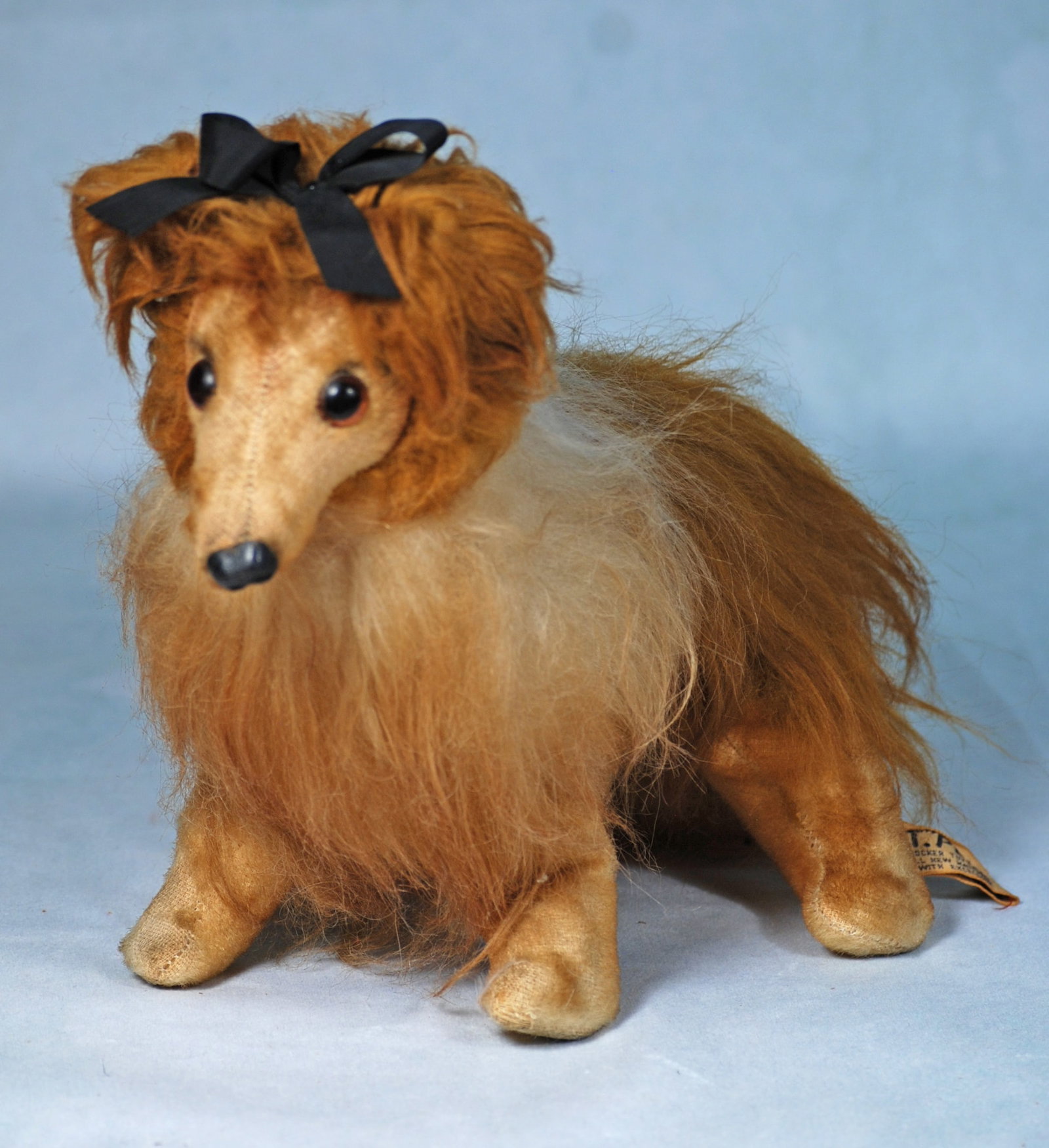MOHAIR COLLIE DOG BY KNICKERBOCKER.: 128. MOHAIR COLLIE DOG BY KNICKERBOCKER. 9” H. Shaded tan and white long fur, shaved face and legs, painted nose, large round brown glass eyes, original tag of K.T.Pets, Knickerbocker Toy Co.