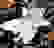 item-24012830=2