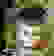 item-48277356=3