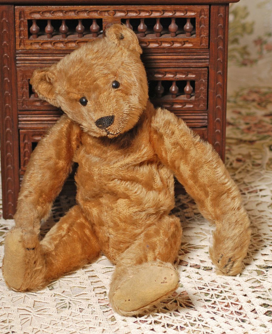 steiff bear button ear