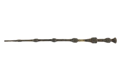 "Harry Potter and the Order of the Phoeinx" Professor Albus Dumbledore (Michael Gambon) Elder Wand