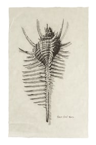 "Alien: Covenant" David 8 (Michael Fassbender) "Sketch" Prop