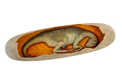 "Jurassic World: Dominion" Production Maquette Egg with Dinosaur Inside