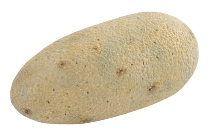 "Jurrasic World: Dominion" Egg #1