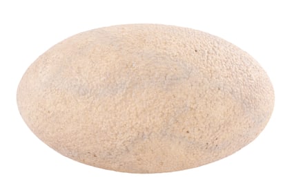 "Jurassic World: Dominion" Egg #2