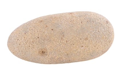 "Jurassic World: Dominion" Egg #3