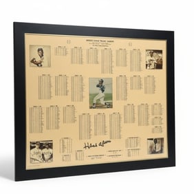 Hank Aaron Career Stat Board